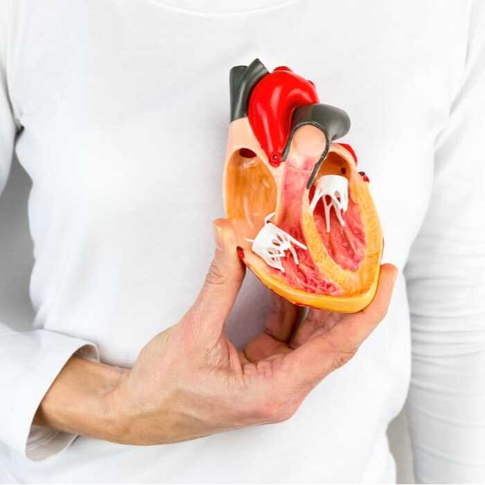 cara menjaga kesehatan otot jantung