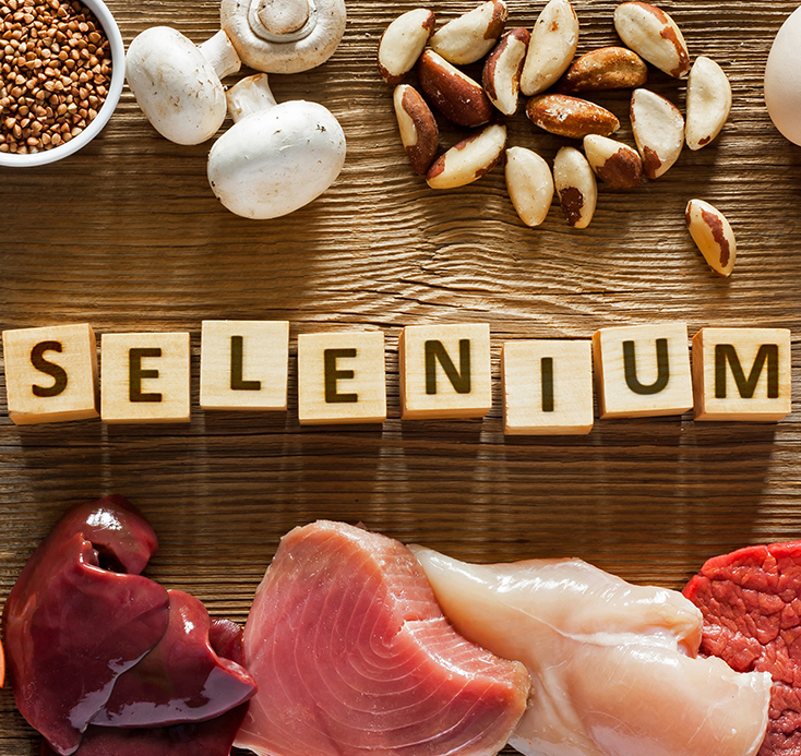 apa itu selenium