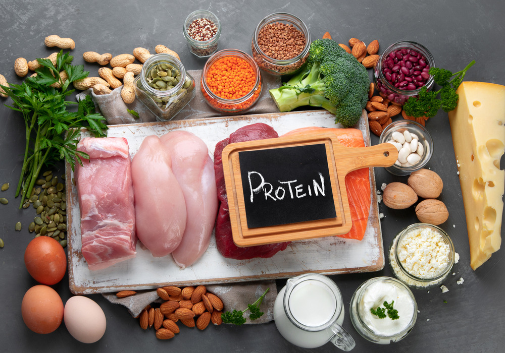 makanan tinggi protein