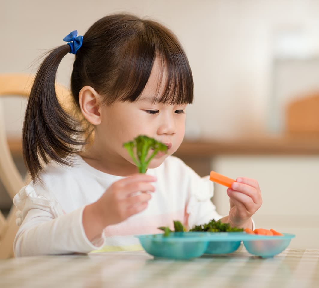 makanan rendah serat