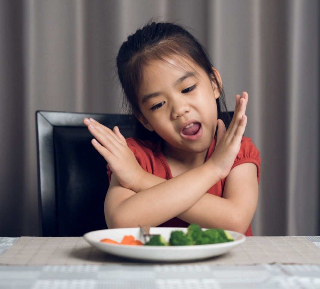 menu untuk anak susah makan nasi