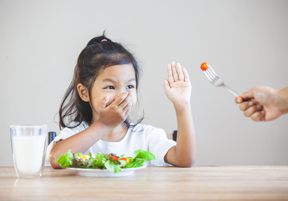nutrisi anak susah makan