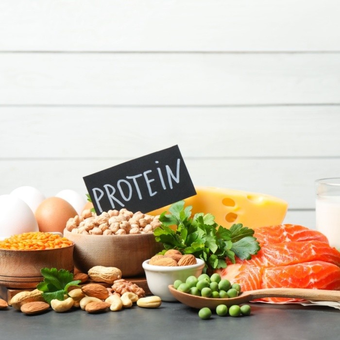 perbedan protein nabati dan hewani