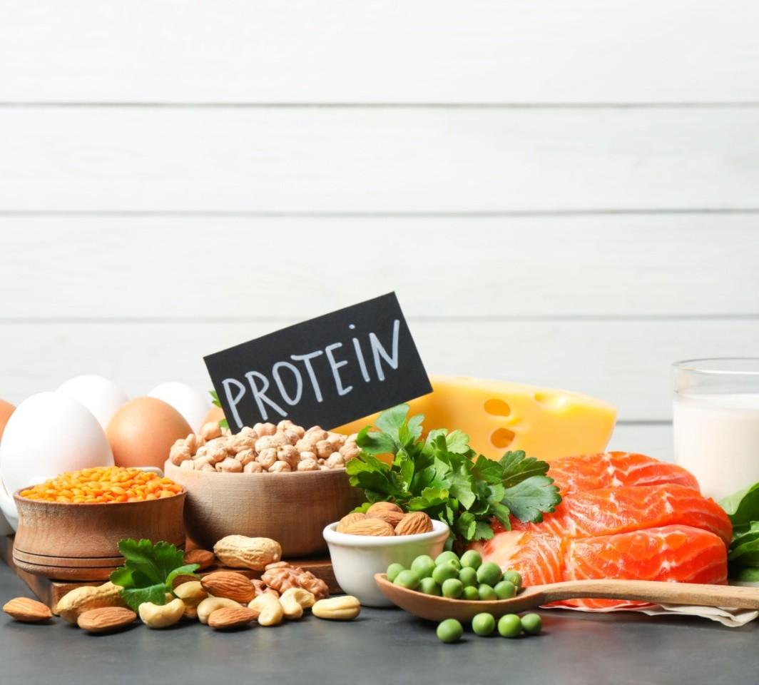 perbedaan protein nabati dan hewani