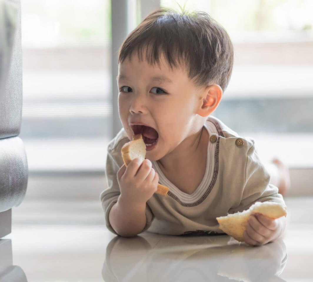 Lactose Intolerance In Young Children Abbott Family