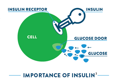 insulin