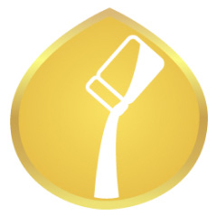 STC - Phoenix - Resize Prepare icon