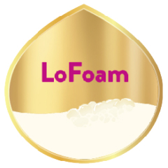 LoFoam