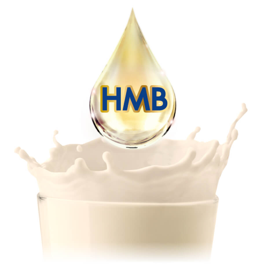 HMB อาหารสูตรครบถ้วน - Ensure
