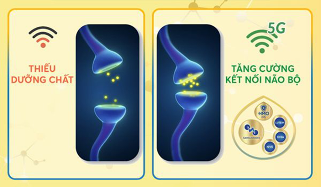 Gangliosides - Dưỡng Chất Có Trong Sữa Mẹ Được Chứng Minh Giúp Chỉ Số Iq Của Trẻ Cao Hơn - Bé Tài Trí Hơn - 3