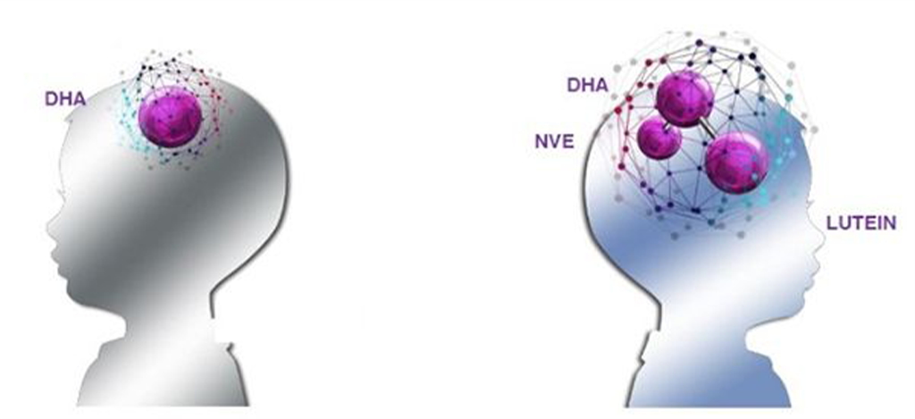 Bộ ba dưỡng chất vàng cho trí não: DHA là một acid béo kém bền nên cần được bảo vệ và tăng cường bởi Lutein và Vitamin E tự nhiên
