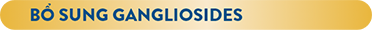 bổ sung Gangliosides