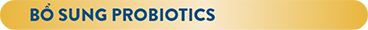 Bổ sung Probiotics