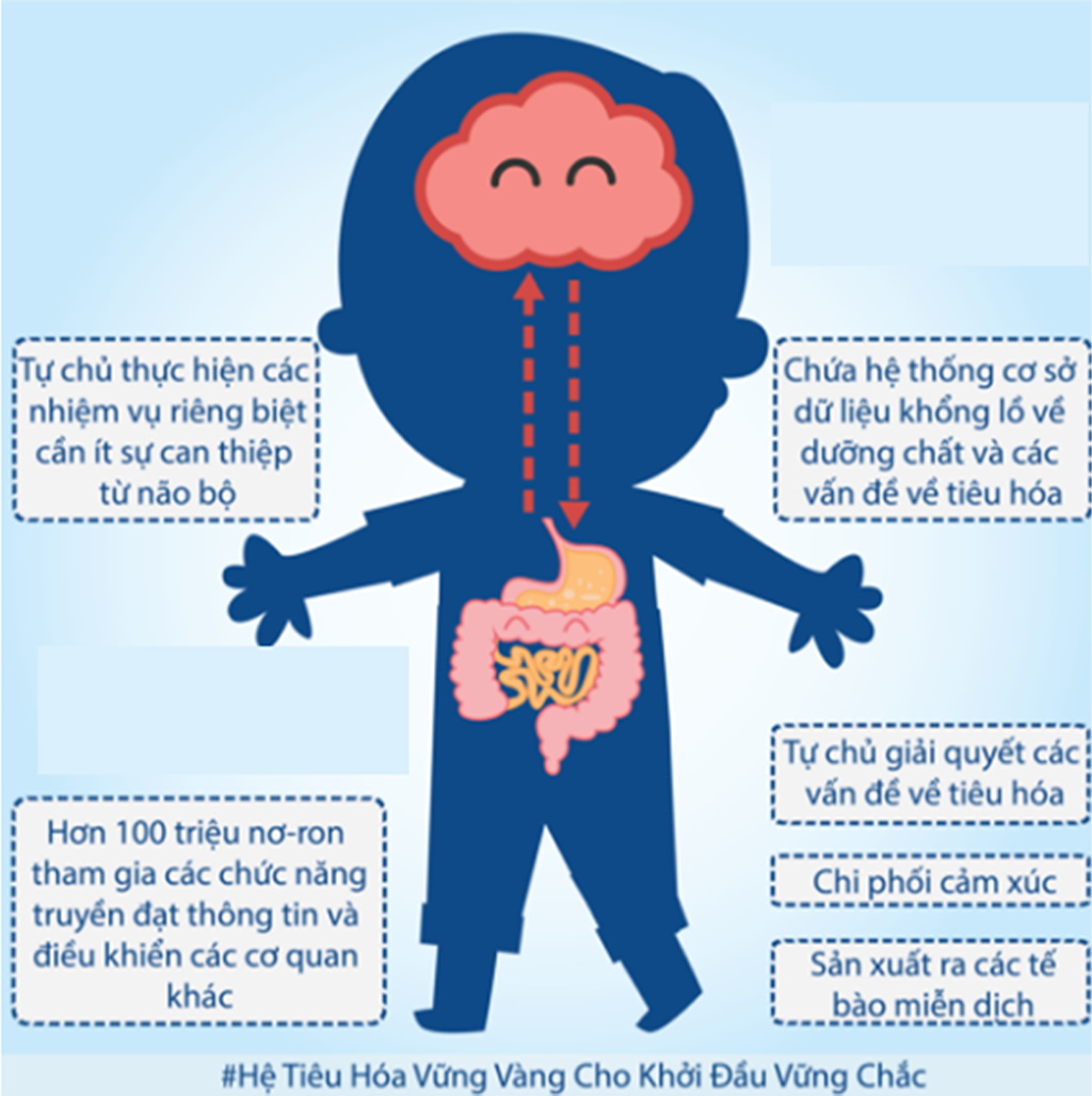 Ruột Ảnh Hưởng Đến Cơ Thể Trẻ Nhỏ Nhiều Hơn Là Ta Tưởng - 2