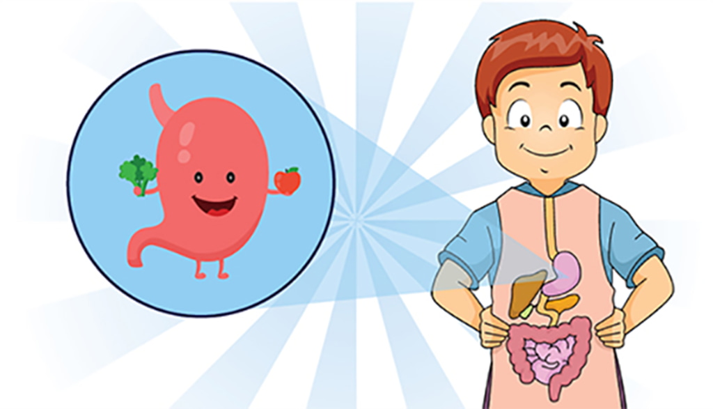 Ruột Ảnh Hưởng Đến Cơ Thể Trẻ Nhỏ Nhiều Hơn Là Ta Tưởng - 3